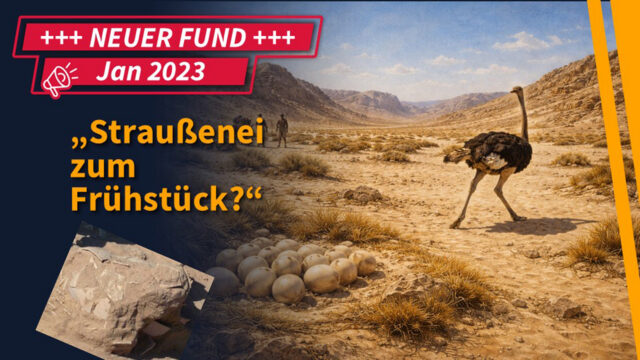 Funde & Fakten : „Straußenei zum Frühstück?“