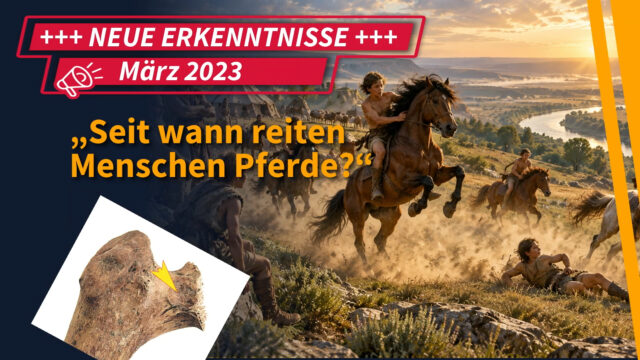 Funde & Fakten: „Sei wann reiten Menschen Pferde?“